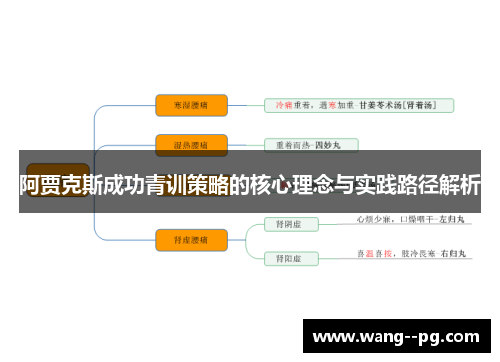 阿贾克斯成功青训策略的核心理念与实践路径解析