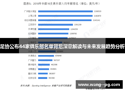 足协公布44家俱乐部名单背后深意解读与未来发展趋势分析