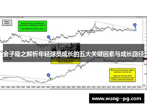 金子隆之解析年轻球员成长的五大关键因素与成长路径 金子隆之解析年轻球员成长的五大关键因素与成长路径