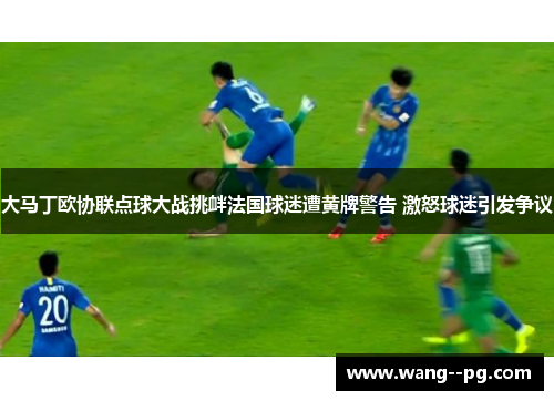 大马丁欧协联点球大战挑衅法国球迷遭黄牌警告 激怒球迷引发争议
