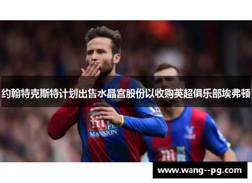 约翰特克斯特计划出售水晶宫股份以收购英超俱乐部埃弗顿 约翰特克斯特计划出售水晶宫股份以收购英超俱乐部埃弗顿